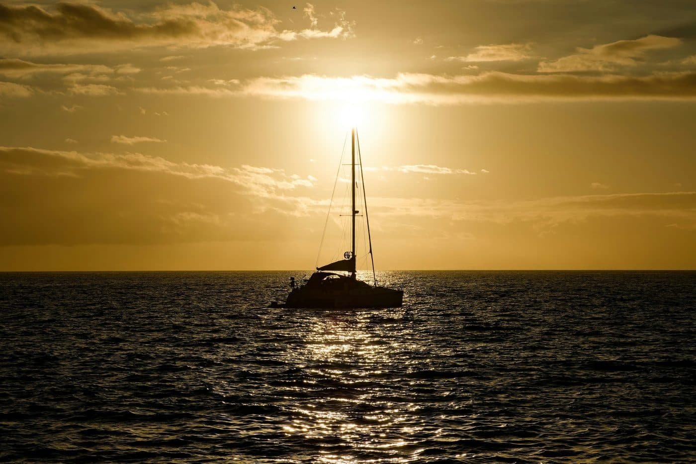 How to organise a boat party in Jeddah