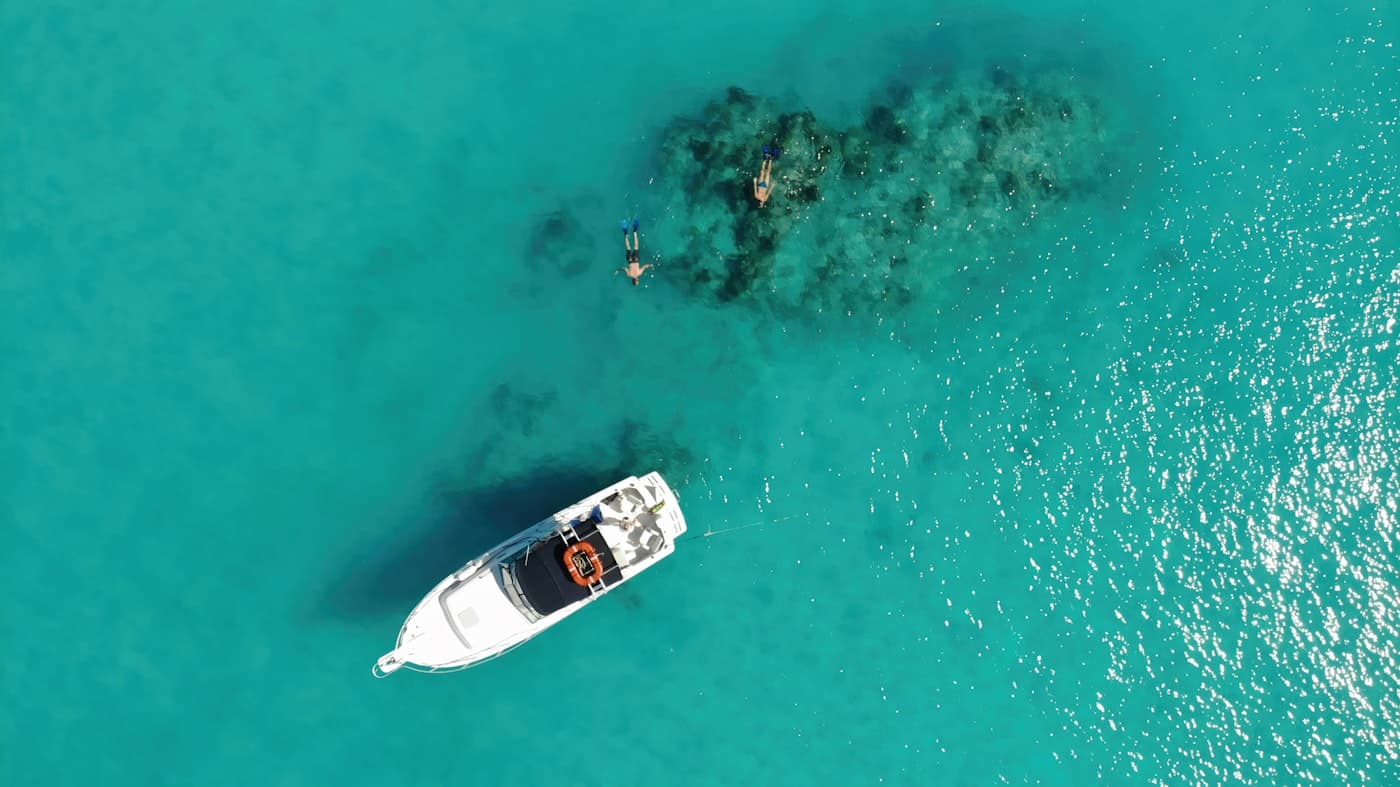 Red Sea reef and clear water